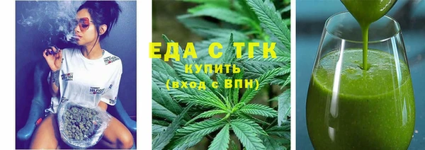 индика Сатка