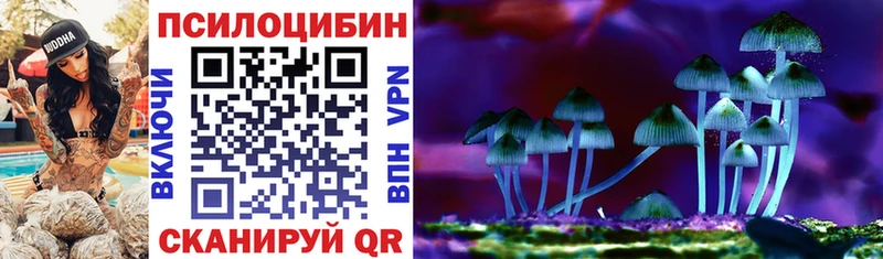 Галлюциногенные грибы Psilocybine cubensis  наркотики  Котельниково 
